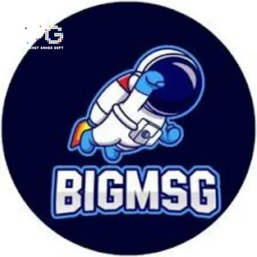 bigmsg